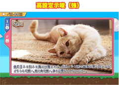 【神台】アニマルスロットドッチさん、万枚達成ｗｗｗ