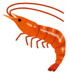 【動画】海老を食いまくった女さん、手にぶつぶつができるｗｗｗｗｗｗｗｗｗｗｗｗｗｗｗｗｗｗ