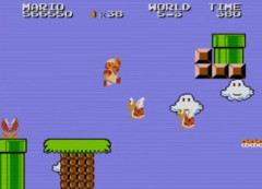 初代マリオ2ってお前らクリアしてなさそうだよな