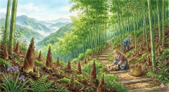 【閲覧注意】裏山持ち僕くん、タケノコ料理食い放題ｗｗｗｗｗ