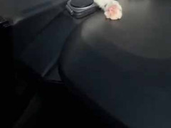 彼女と一緒に車に乗っていた。ぽかぽかの良い天気 → こんな所で寝てしまいました…