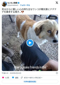 【動画】ワンコさん、前足ちょんちょん+上目遣いでナデナデを強要してしまう