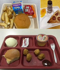 アメリカ人「お前らは学校でどんな給食やランチを食べてたの？」