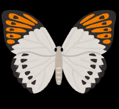 【赤っ恥】「知人が『渡り蝶』の研究をしてる人が〜」と言うのを遮って先輩に「渡り『鳥』だろ馬鹿」と言われた。「蝶々です」と指摘すると…