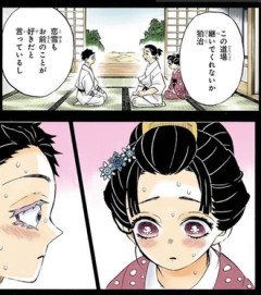 【鬼滅の刃】綺麗にまとまったボーイミーツガールだったと思う