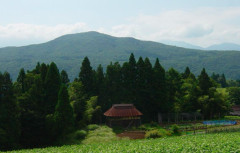 【新潟】韓国ホテルロッテ子会社が所有するロッテアライリゾートが日本国内で保安林2ヘクタールを無断伐採　森林法違反で県が行政指導「今すぐ中止しろ」