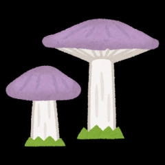 【速報】「スーパーマリオギャラクシーTHE MOVIE」日本もいよいよ公開ｗｗｗｗｗｗｗ