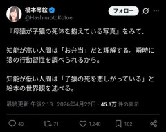 【悲報】有識者「とある写真を見たときの、知能の高い人と低い人の違いがこれｗ」