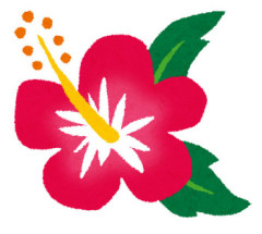 【修羅場】一時期、姉がお土産でくれたハイビスカスの髪飾りをつけていた。その後クラスのギャルAに「あの髪飾りちょうだい」といきなり言われ…