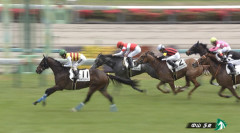 【土曜中山5R】セイウンラピス＆松岡騎手がｷﾀ━━━━(ﾟ∀ﾟ)━━━━!!