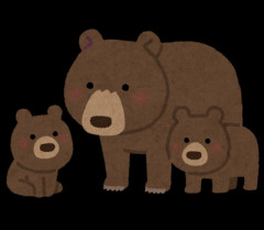 【クマ】陸自隊員、福島の演習場で襲われけが