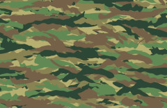 【画像】「なぜ登山やアウトドアで迷彩柄を着たらダメなのか？」　→　理由が一発でわかる写真がこちらｗｗｗｗｗ　これはぐうの音も出ない