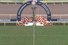 【枠順確定】香港チャンピオンズデー2026