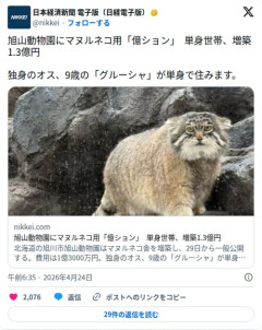 【悲報】マヌルネコのグルーシャさん、単身1.3億円億ション暮らしになってしまう