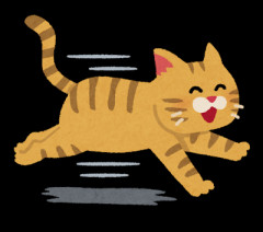 【プチネタ】うちの猫たち朝からうるさすぎ。ズドドド目の前を通過して行ったと思ったら順番逆にして戻ってきた