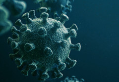 コロナ禍で「結局あれなんだったんや...」ってなった事