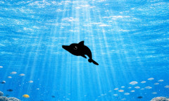 【🐬】Copilotキャラクターに新キャラ追加！アイツが帰ってきた！