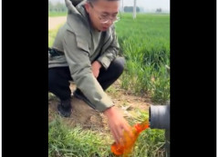 【中国】 地下水が汚染で真っ赤に、村民「仕方がないが収穫した小麦は自分では食べず売るしかない」