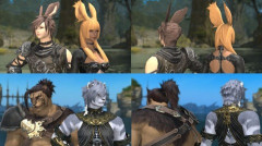 【FF14】7.5でヴィエラ・ロスガル族に新たな髪型が追加！他、一部の頭装備がヴィエラで表示可能に