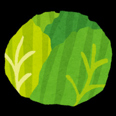 【有益】スーパーで迷わない！『美味しいキャベツ』の見分け方www