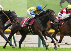 屈腱炎で長期休養のシュガークン 武豊で新潟大賞典で復帰へ