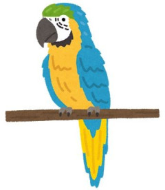 【旦那の豹変】可愛がってるインコを部屋で放し飼い中にコトメがやって来た。ソファに座りインコのシッポを踏み、数分後床のインコのシッポを踏んだ→旦那のキレ方がヤバい