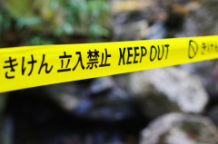 【悲報】経営コンサルさん、超えちゃいけないラインを超えてしまうｗｗｗｗｗｗｗｗｗｗｗ