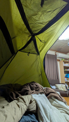 【画像】久々にお部屋テントやってる