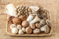 【悲報】AIが食べられると判断したキノコを食った結果ｗｗｗｗｗｗｗｗ