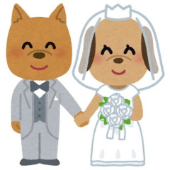 【大惨事】私達の結婚式は飼い犬も参列させる計画だったが、式当日に愛犬家の知人も犬3匹を連れて来ていることが判明→「お宅の犬は式場の許可を得てないので…」と言う