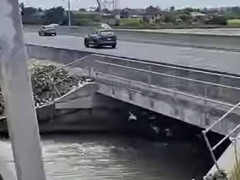 橋の下に鳥たちがいた。トレーニングでもしてるのかな？ → みんなでこんな様子です…