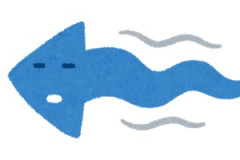 海外「行ってたい！」また日本の動物が海外でバイラルになってコメントが殺到中