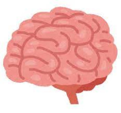 これが『参政脳』