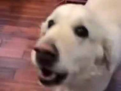 子供がパパから離れない。ま、ママ助けてぇ！ → パパ、ちょっと困ります…