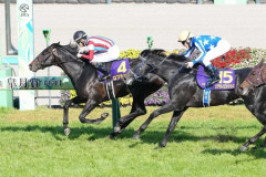 ダービー１番人気が全く読めない件