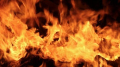 【悲報】はま寿司で子供を放置したNYママ、盛大に燃えるｗｗｗｗｗｗｗ