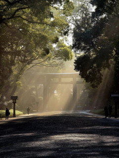 「この明治神宮の写真が一番気に入ってる」親日外国人が風景を愛でるスレ