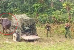 キューバ軍、牛車に対空砲を載せて防空訓練…トランプ大統領に「次のターゲット」と名指し！