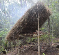 カナダ「お前ら国内の未開拓な地域に放り込まれたら生き延びられる？」