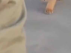 【これは危険】 お姉さんの後ろに猛獣がいた。そっとジワジワと近づいてくる → 結果…