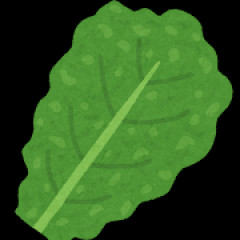 複数人で焼肉屋行った時にサラダ頼むやつｗｗｗｗｗｗｗ