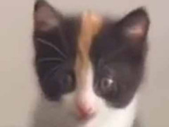 これが「異世界転生してハーレム」ってやつですか…