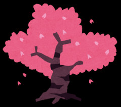 【名前】皆は「さくら」って人名として違和感はないの？桜は散るし、どちらかと言うと綺麗な氏という悲しいイメージ。お目出度い花だったら「蓮」とか選びようがあると