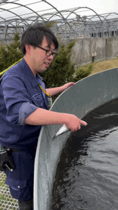 韓国人「再生数数千万回でバズった日本水族館のプロモーション動画が話題に！世界中が困惑した日本独自のシュールな広報戦略に驚きの声」