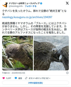 【衝撃】クチバシを失ったオウムさん、独自の戦法を編み出し群れで全勝の絶対王者になってしまう