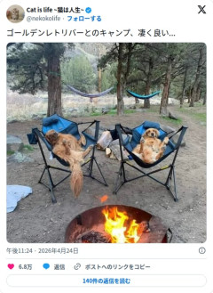 【画像】ゴールデンレトリバーさん、キャンプで完全に人間と化してしまう
