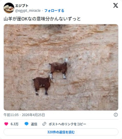 【画像】山羊さん、ほぼ垂直の崖に貼り付いて平然としてしまう