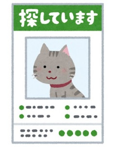 近所の人の猫がうちの庭にフンをしにくる。あの手この手で注意するも無視されてたが、庭のダンボールに猫が入るのをみてチャンスだと思った