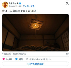 【画像】昔の和室の寝室さん、豆電球のオレンジ色がエモすぎる