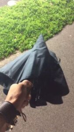 【GIF画像】みんなで楽しもうぜｗｗｗｗｗｗｗｗｗｗｗｗｗｗｗｗ